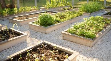 Cippato di rami e foglie