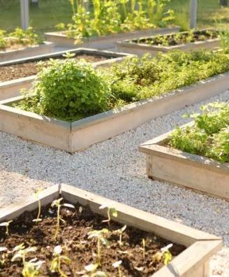 Cippato di rami e foglie