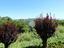 Immagine 26