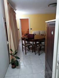 Mini appartamento ammobiliato