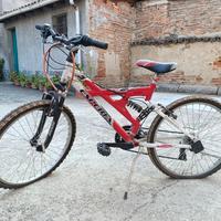 bicicletta 