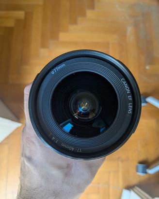 Canon L EF L 17 40 F4