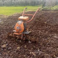 Motozappa pasbo 7 cavalli.