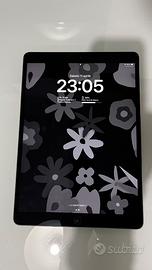 iPad Pro 10.6 256 Gb WiFi