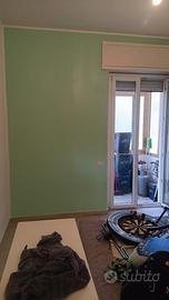 Cartongesso & tinteggiature