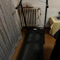 Tapirulan professionale