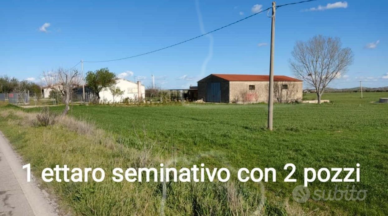 Campagna terreno - Vista 2