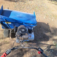 Raccoglitrice olive e frutto