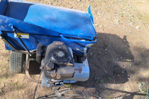 Raccoglitrice olive e frutto