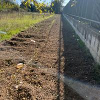 Lotto di terreno 1200