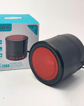 2 "Altoparlanti wireless"