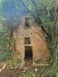 Terreno di mq. 25.000 con rudere di mq. 180 ca