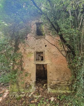 Terreno di mq. 25.000 con rudere di mq. 180 ca