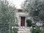 Immagine 1