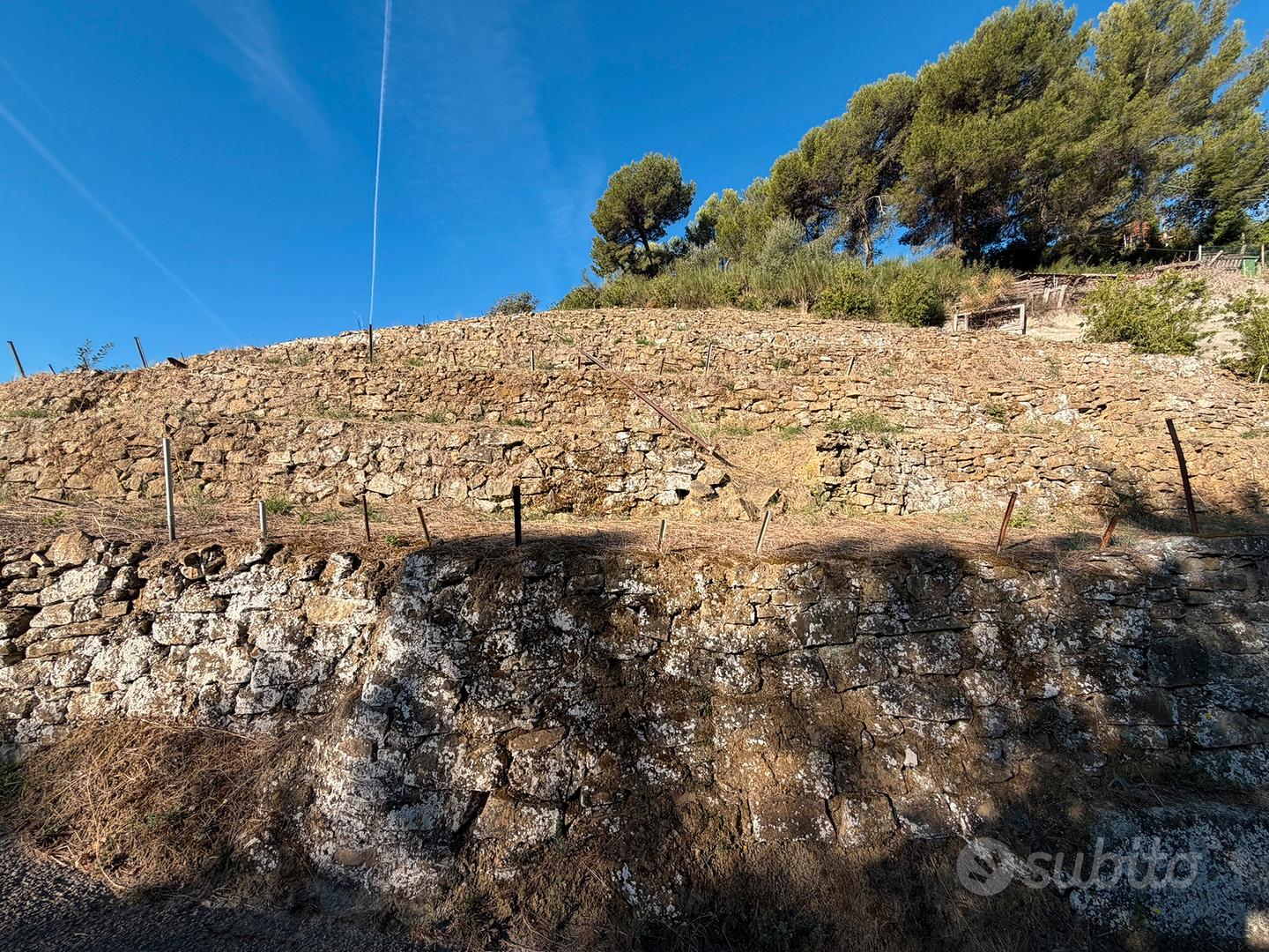 Terreno agricolo - Vista 3