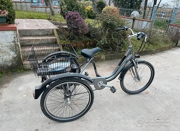 Bicicletta elettrica a tre ruote