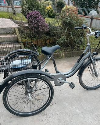 Bicicletta elettrica a tre ruote