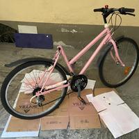 Bicicletta : Telaio Mountain Bike