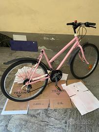 Bicicletta : Telaio Mountain Bike