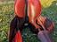 Immagine 4