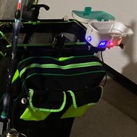 Scalda camole trota lago