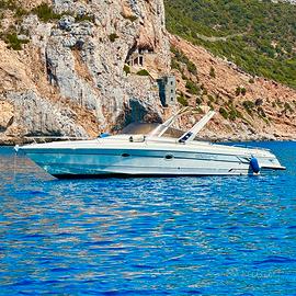 Cranchi Endurance 31