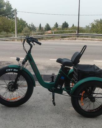 Bici elettrica z-tech