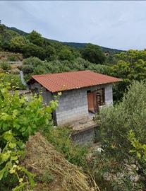 Terreno/vigneto con Casa C/2