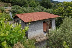 Terreno/vigneto con Casa C/2