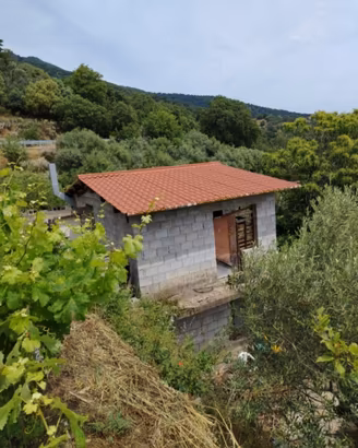 Terreno/vigneto con Casa C/2