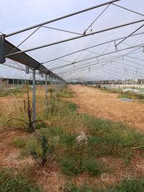 Struttura per ombrario ferro zincato