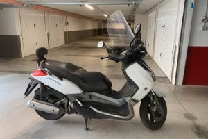 Xmax 250