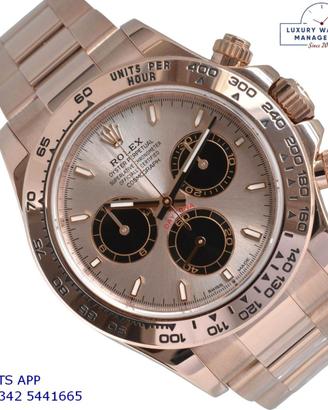 ROLEX Cosmograph Daytona 126505 Sundust Everose