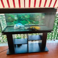 acquario 250 litri completo di tavolo 