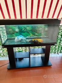 acquario 250 litri completo di tavolo 