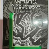 MATEMATICA CALCOLO INFINITESIMALE E ALGEBRA LINEAR