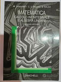 MATEMATICA CALCOLO INFINITESIMALE E ALGEBRA LINEAR