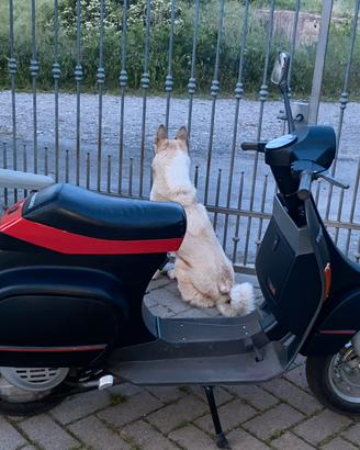 Piaggio Vespa PK50 Rush