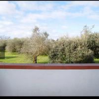 San Giuliano Terme Pisa Università Cisanello