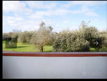 San Giuliano Terme Pisa Università Cisanello