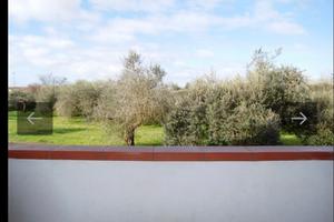 San Giuliano Terme Pisa Università Cisanello