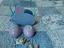 Immagine 1