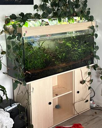 Acquario