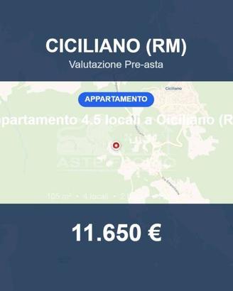 Immobile in asta di 105 m² a Ciciliano