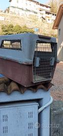 trasportino cani
