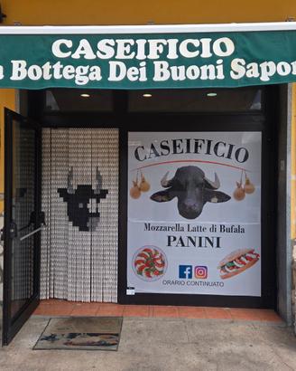 Cedesì attività già avviata
