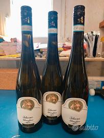 3 bottiglie vino Falanghina 2022