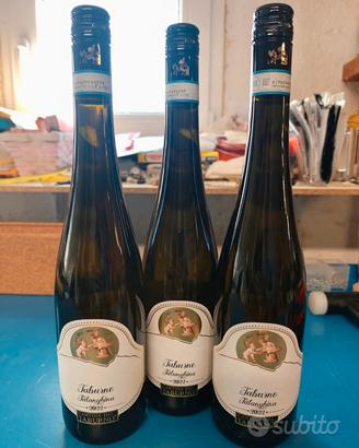 3 bottiglie vino Falanghina 2022