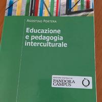 Educazione e pedagogia interculturale