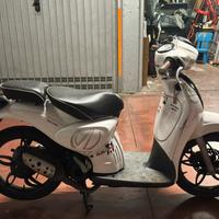 Scarabeo 50 anno 2008